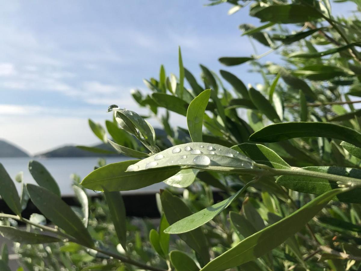 Shodoshima Olive Youth Hostel Екстериор снимка